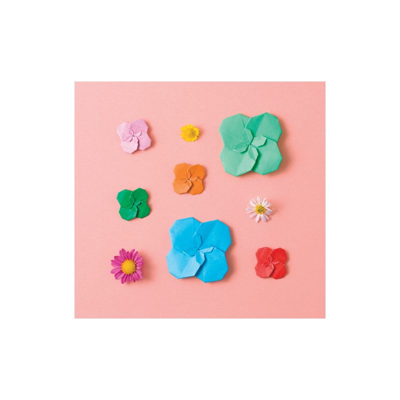 Petits objets en origami 3D Livre Loisirs créatifs
