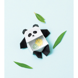 Petits objets en origami 3D Livre Loisirs créatifs