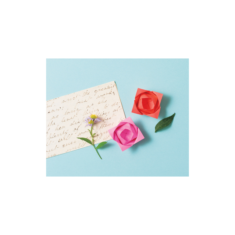 Petits objets en origami 3D Livre Loisirs créatifs