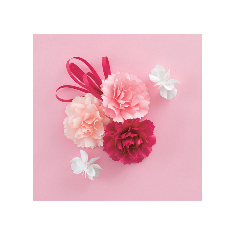Fleurs en kirigami 3D Livre Loisirs créatifs