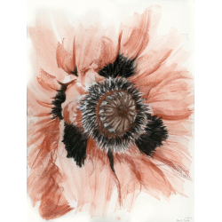 Apprendre à dessiner les fleurs Livre Beaux-arts Apprendre à dessiner les fleurs Livre Beaux-arts