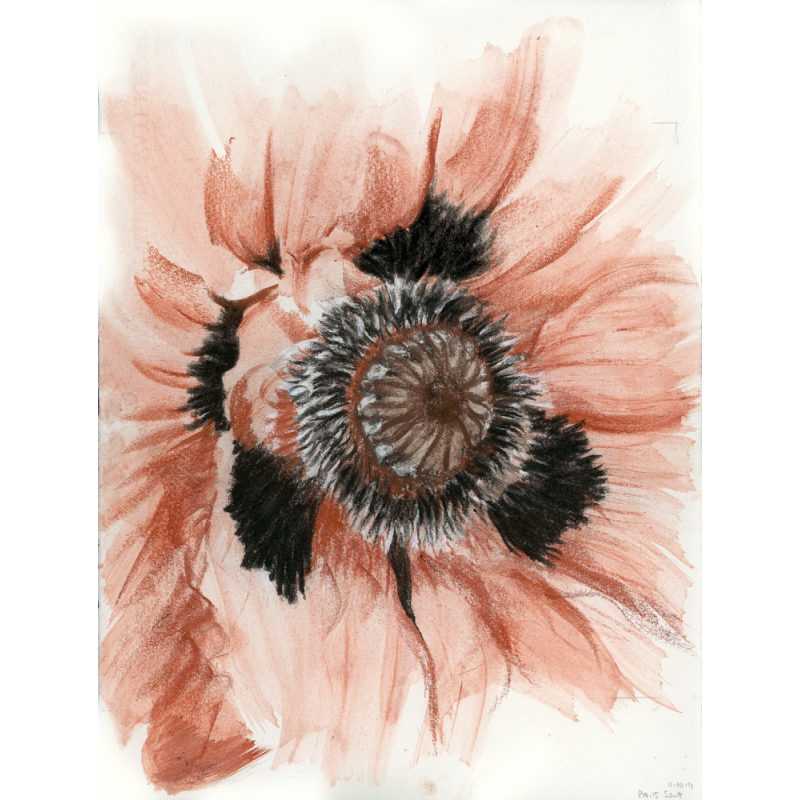 Apprendre à dessiner les fleurs Livre Beaux-arts