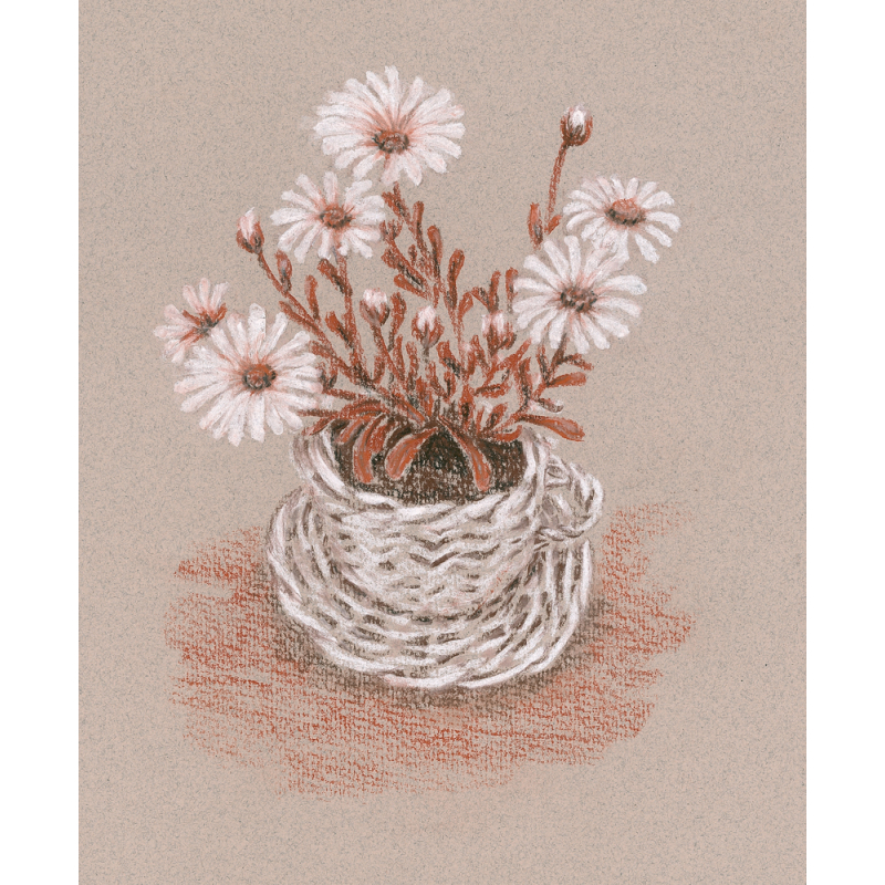 Apprendre à dessiner les fleurs Livre Beaux-arts