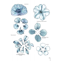 Apprendre à dessiner les fleurs Livre Beaux-arts Apprendre à dessiner les fleurs Livre Beaux-arts