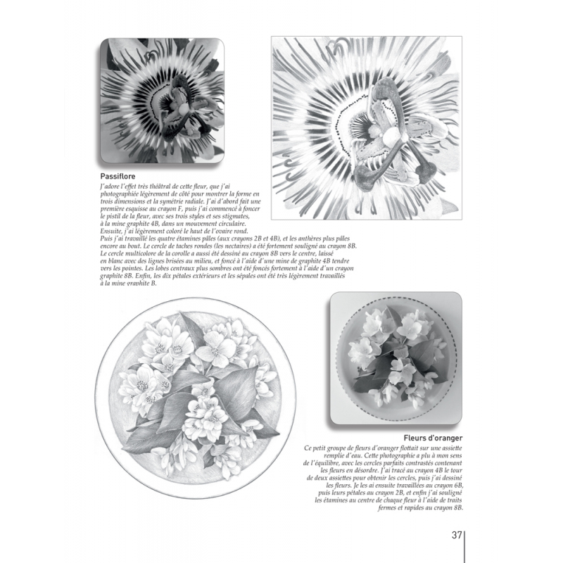 Apprendre à dessiner les fleurs Livre Beaux-arts