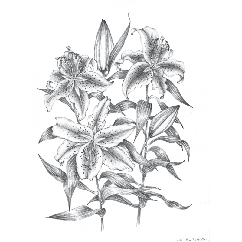 Apprendre à dessiner les fleurs Livre Beaux-arts