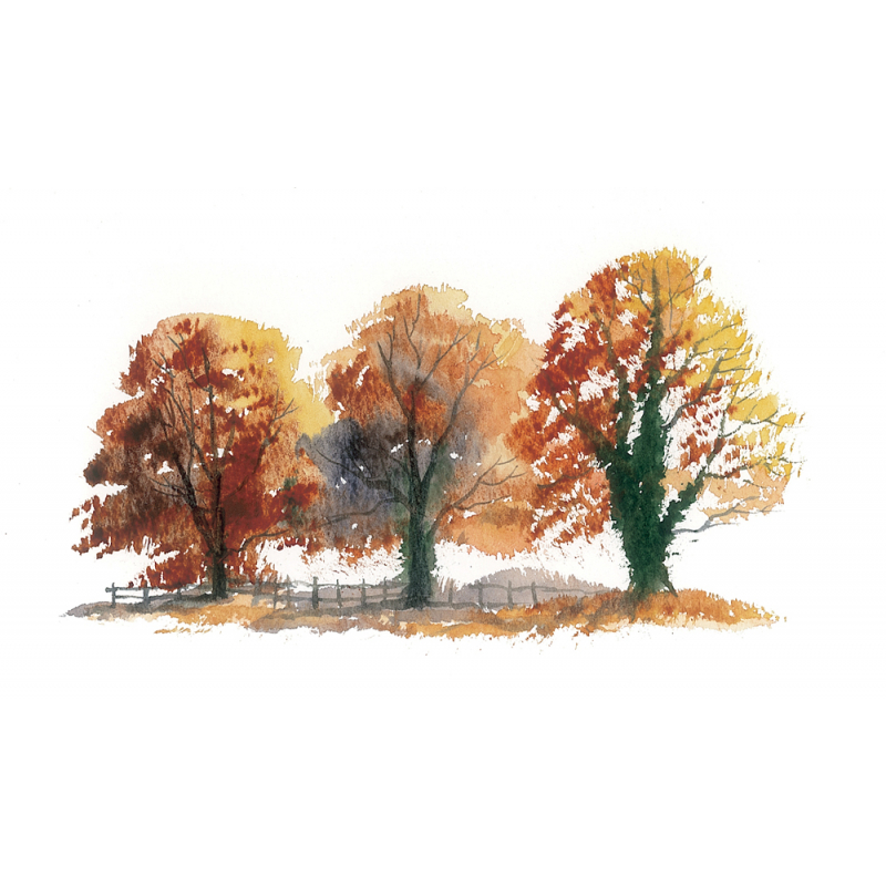 Secrets d'aquarelle Livre Beaux-arts