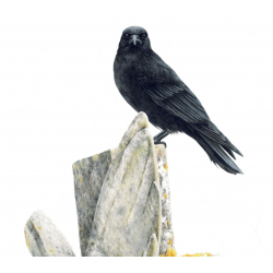 L'art de dessiner les oiseaux - 2 L'art de dessiner les oiseaux - 2