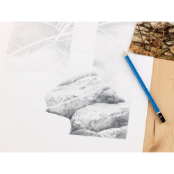 L'art de dessiner les oiseaux - 3 L'art de dessiner les oiseaux - 3