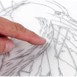 L'art de dessiner les oiseaux - 4 L'art de dessiner les oiseaux - 4