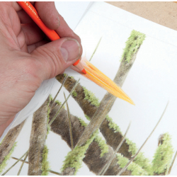 L'art de dessiner les oiseaux - 5 L'art de dessiner les oiseaux - 5