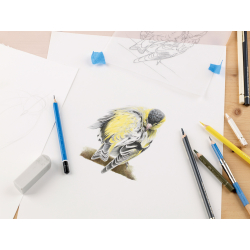 L'art de dessiner les oiseaux - 6 L'art de dessiner les oiseaux - 6