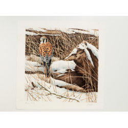 L'art de dessiner les oiseaux - 9 L'art de dessiner les oiseaux - 9
