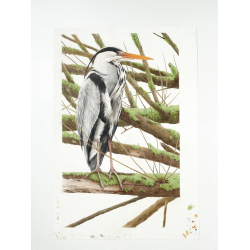 L'art de dessiner les oiseaux - 10 L'art de dessiner les oiseaux - 10