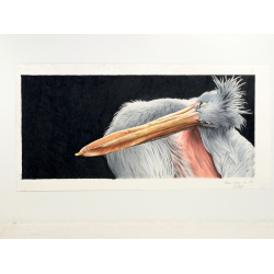 L'art de dessiner les oiseaux - 11 L'art de dessiner les oiseaux - 11
