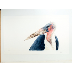 L'art de dessiner les oiseaux - 12 L'art de dessiner les oiseaux - 12