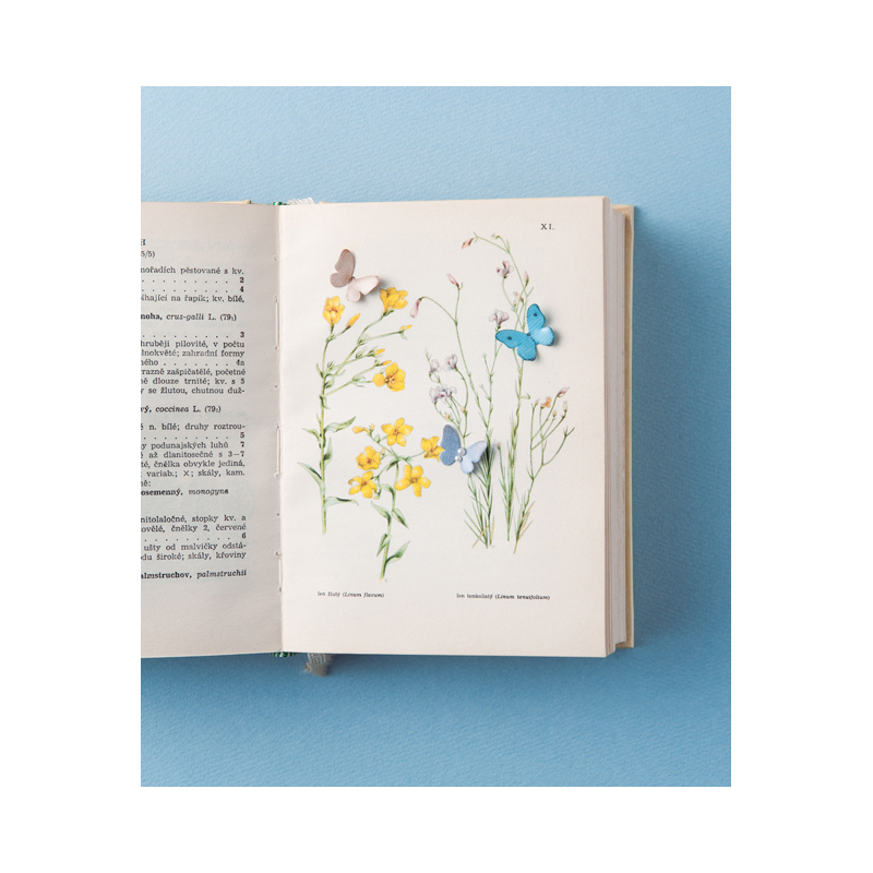 Kirigami - Bijoux & accessoires Livre Loisirs créatifs