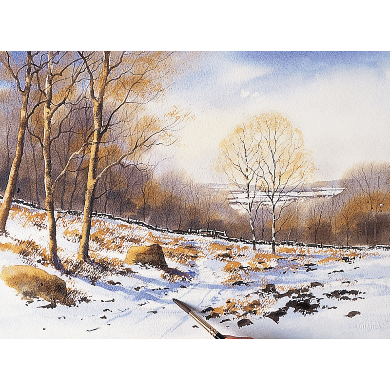 La perspective à l'aquarelle Livre Beaux-arts