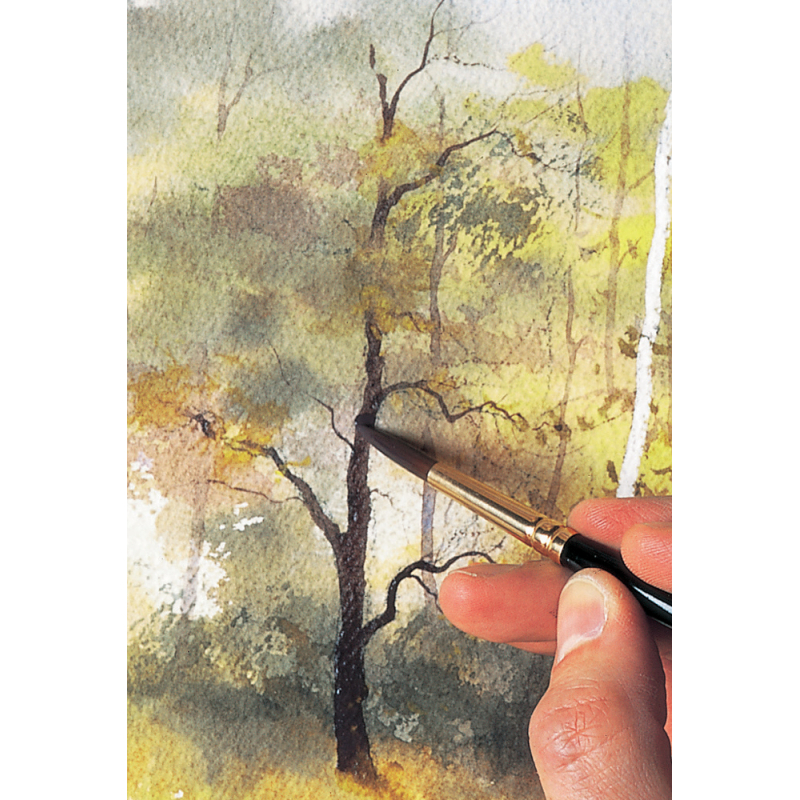 La perspective à l'aquarelle Livre Beaux-arts