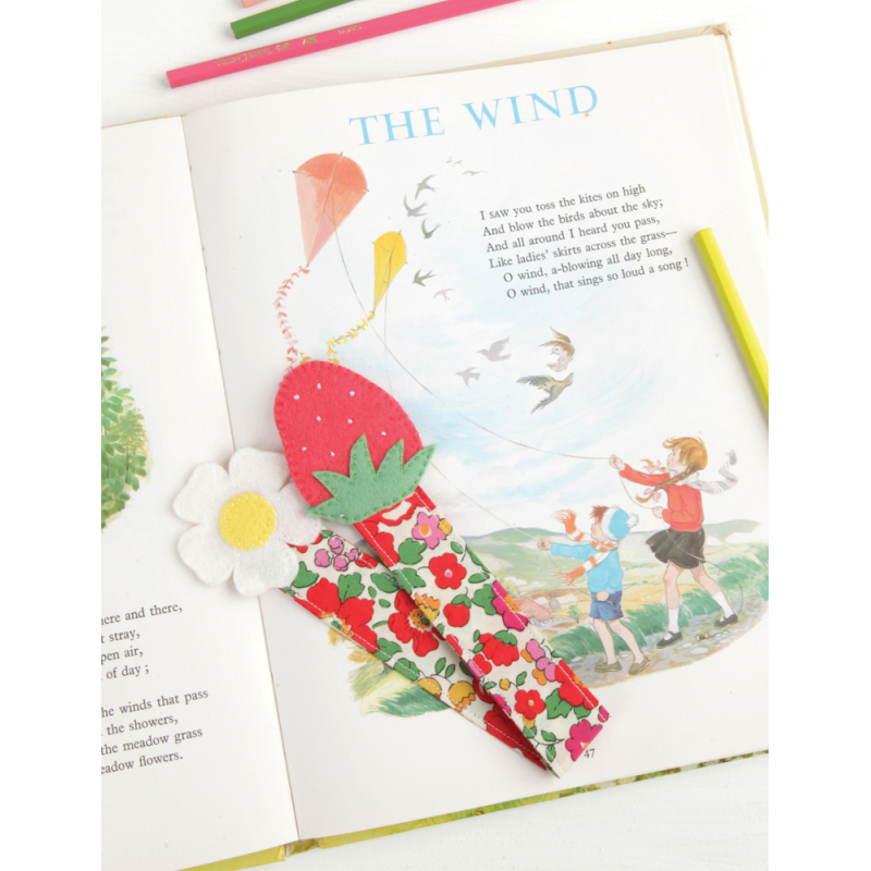 Jolies cousettes en feutre & en tissu Livre Couture