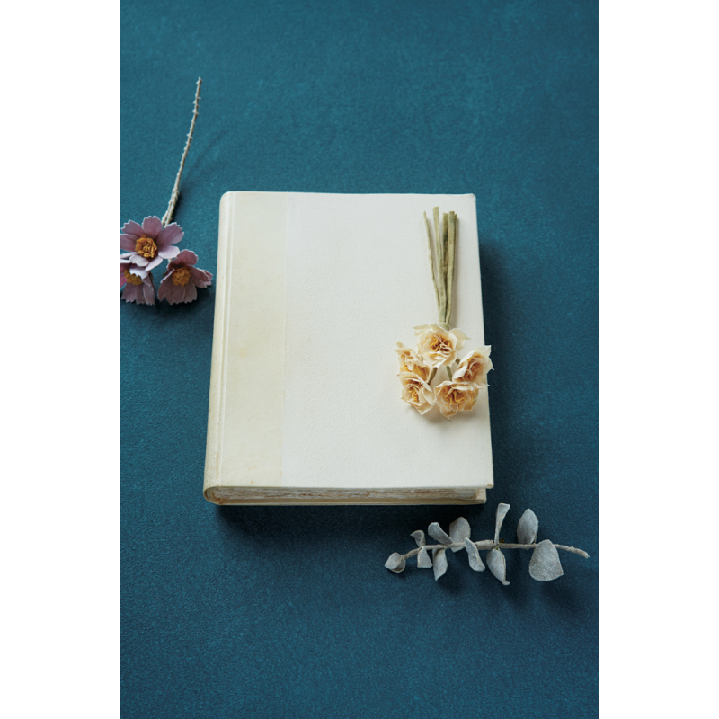 Fleurs de tissu Livre Loisirs créatifs
