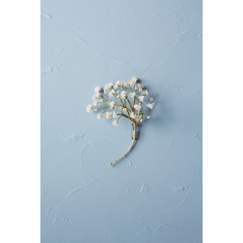 Fleurs de tissu Livre Loisirs créatifs