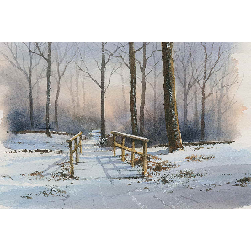 Arbres & forêts à l'aquarelle Livre Beaux-arts