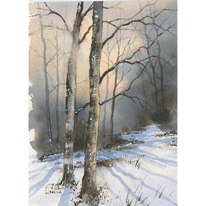 Arbres & forêts à l'aquarelle Livre Beaux-arts