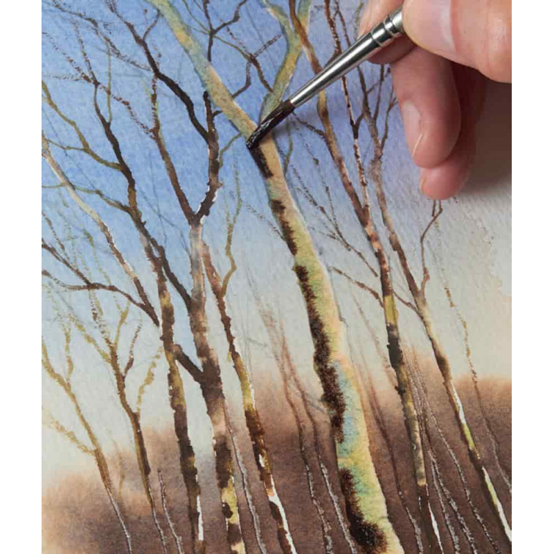 Arbres & forêts à l'aquarelle Livre Beaux-arts