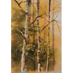 Arbres & forêts à l'aquarelle  - 8