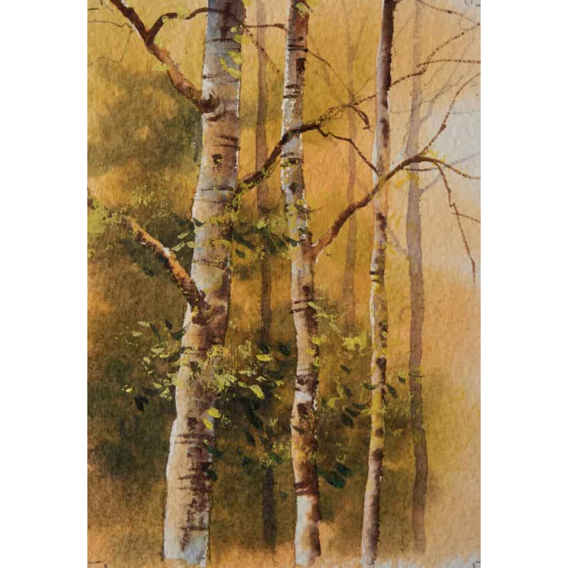 Arbres & forêts à l'aquarelle Livre Beaux-arts
