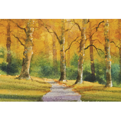 Arbres & forêts à l'aquarelle  - 9
