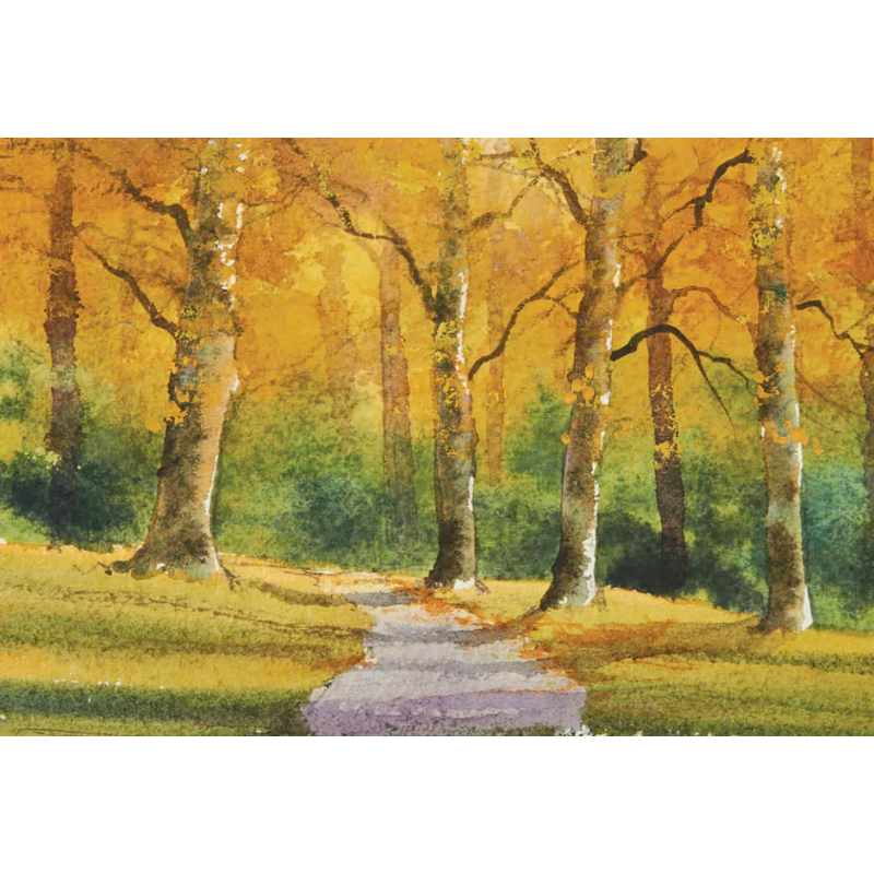 Arbres & forêts à l'aquarelle Livre Beaux-arts