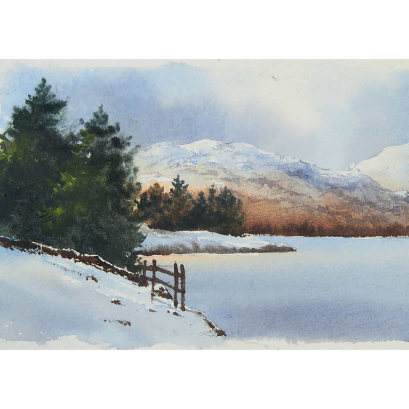 Arbres & forêts à l'aquarelle Livre Beaux-arts
