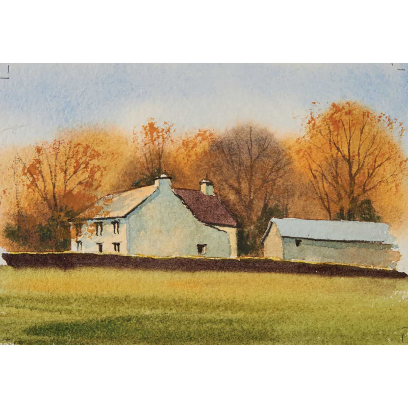 Arbres & forêts à l'aquarelle Livre Beaux-arts