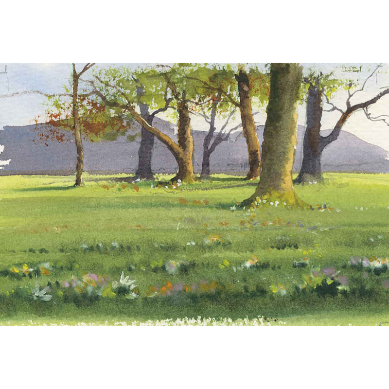 Arbres & forêts à l'aquarelle Livre Beaux-arts