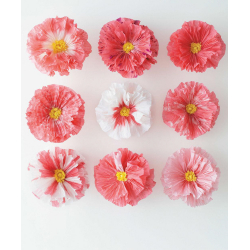Fleurs en papier - 3 Fleurs en papier - 3