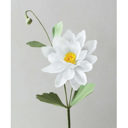 Fleurs en papier - 4 Fleurs en papier - 4