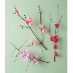 Fleurs en papier - 5 Fleurs en papier - 5