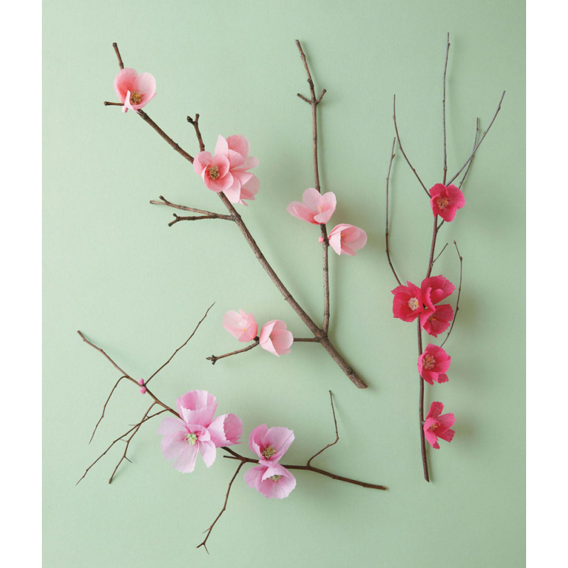 Fleurs en papier  - 5