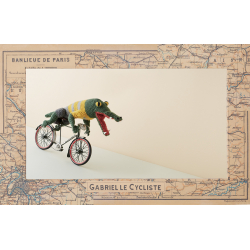 Au pays des Jimigurumi Livre Crochet