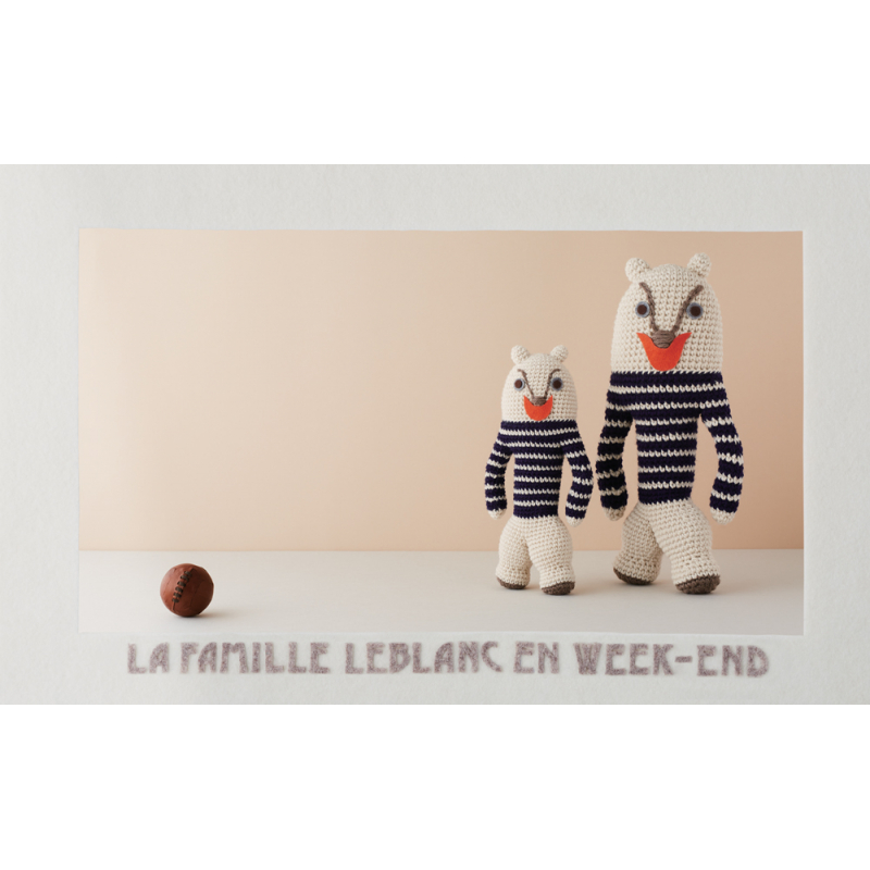Au pays des Jimigurumi Livre Crochet