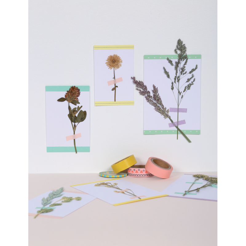 Herbiers animés Livre Loisirs créatifs