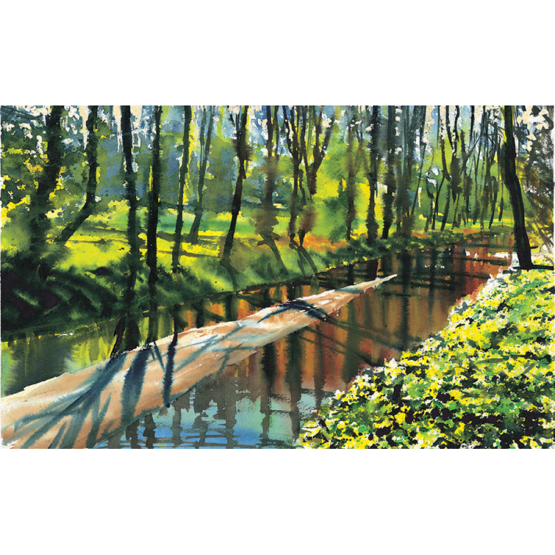 L'eau à l'aquarelle Livre Beaux-arts