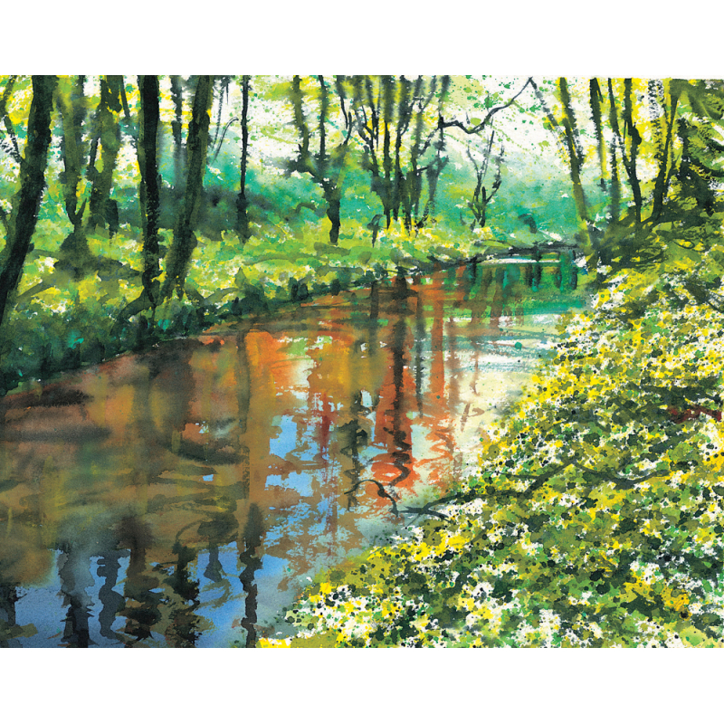 L'eau à l'aquarelle Livre Beaux-arts