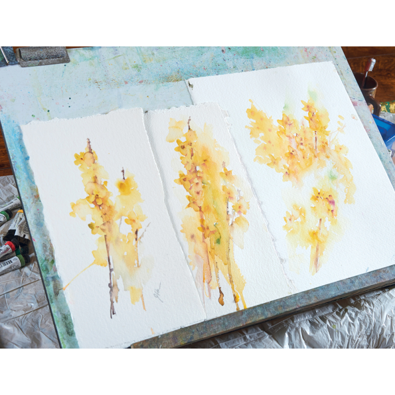 Aquarelles florales et poétiques Livre Beaux-arts