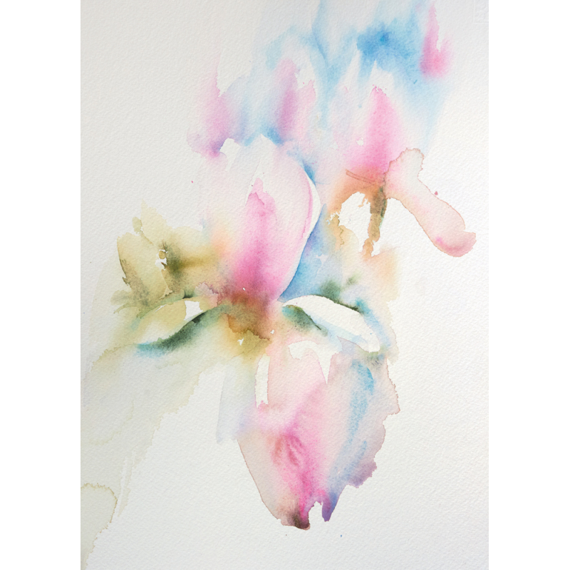 Aquarelles florales et poétiques Livre Beaux-arts