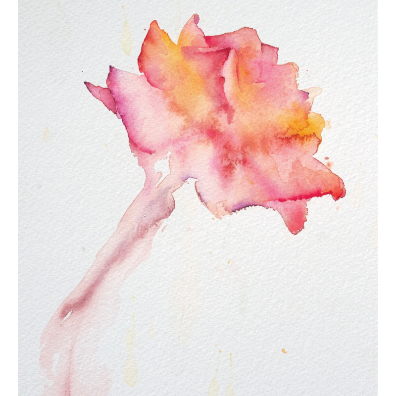 Aquarelles florales et poétiques Livre Beaux-arts