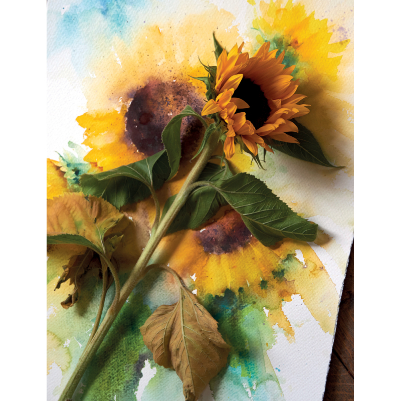 Aquarelles florales et poétiques Livre Beaux-arts