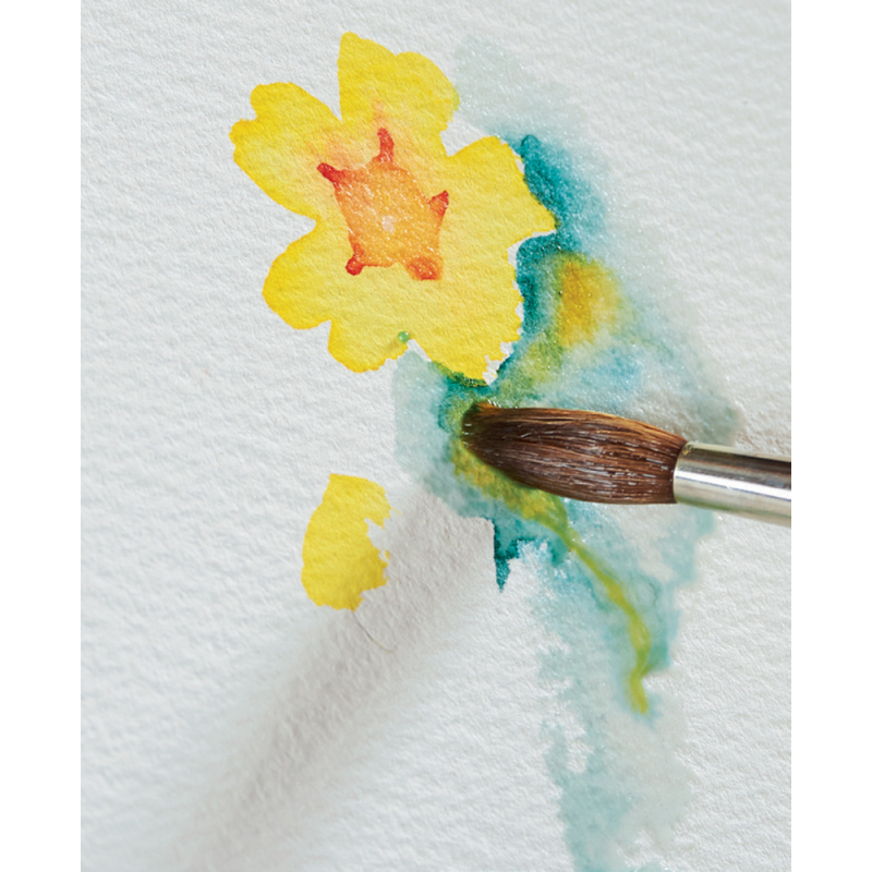 Aquarelles florales et poétiques Livre Beaux-arts